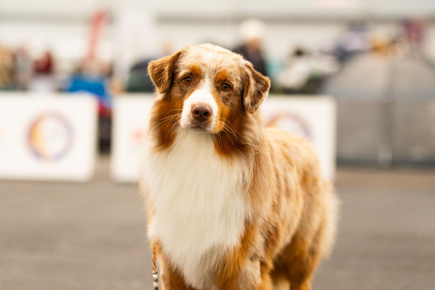 Urby Renewal Magical (dit Byby) of Acala Lake