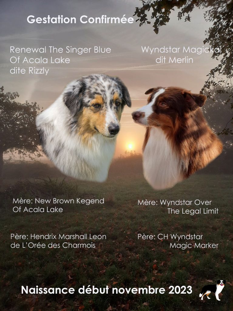 of Acala Lake - Portée 2023 - Rizzly et Merlin